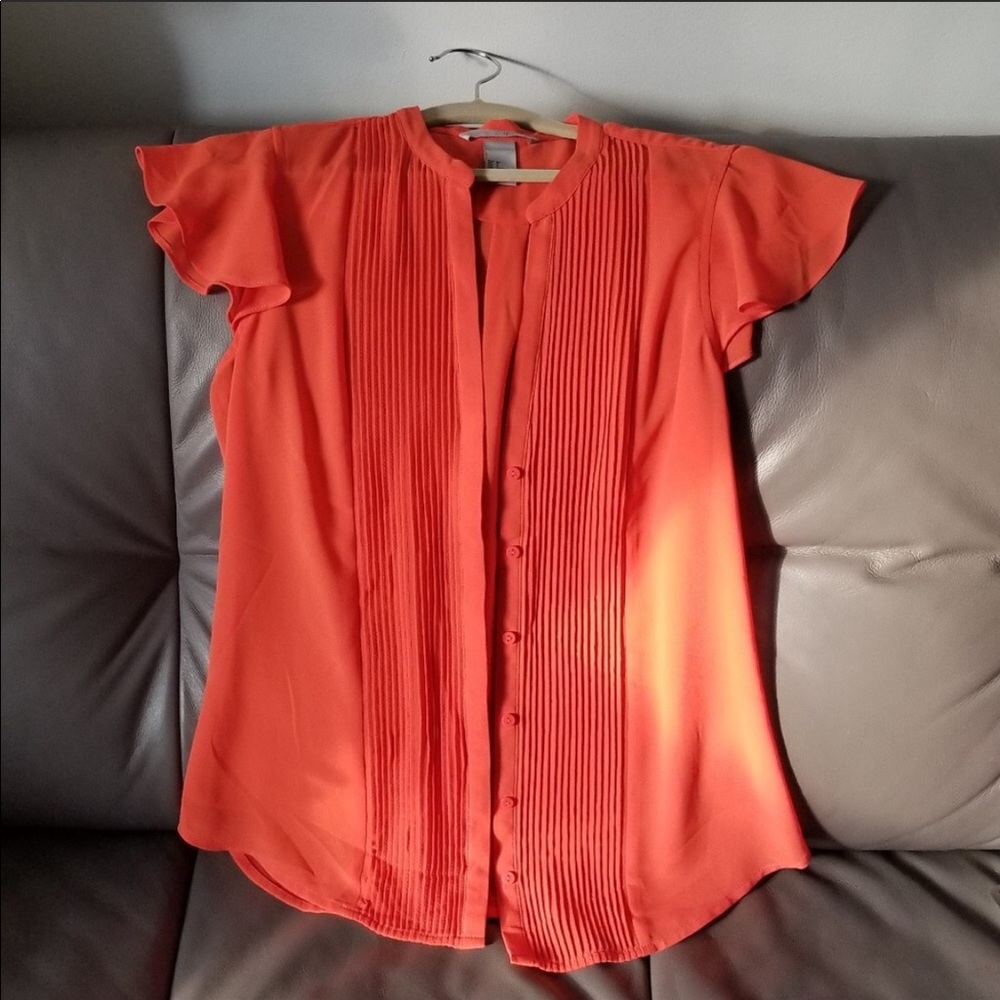 H&M flutter sleeves semi sheer button up